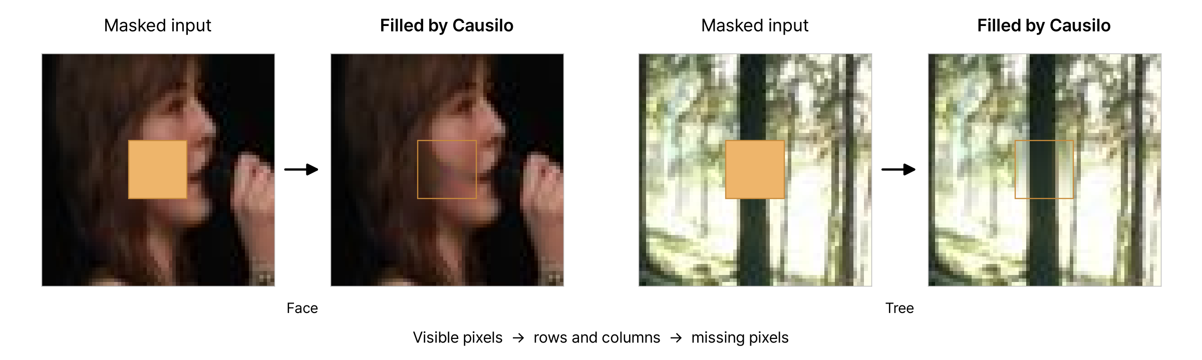 Masked face and tree regions alongside Causilo's reconstructions.