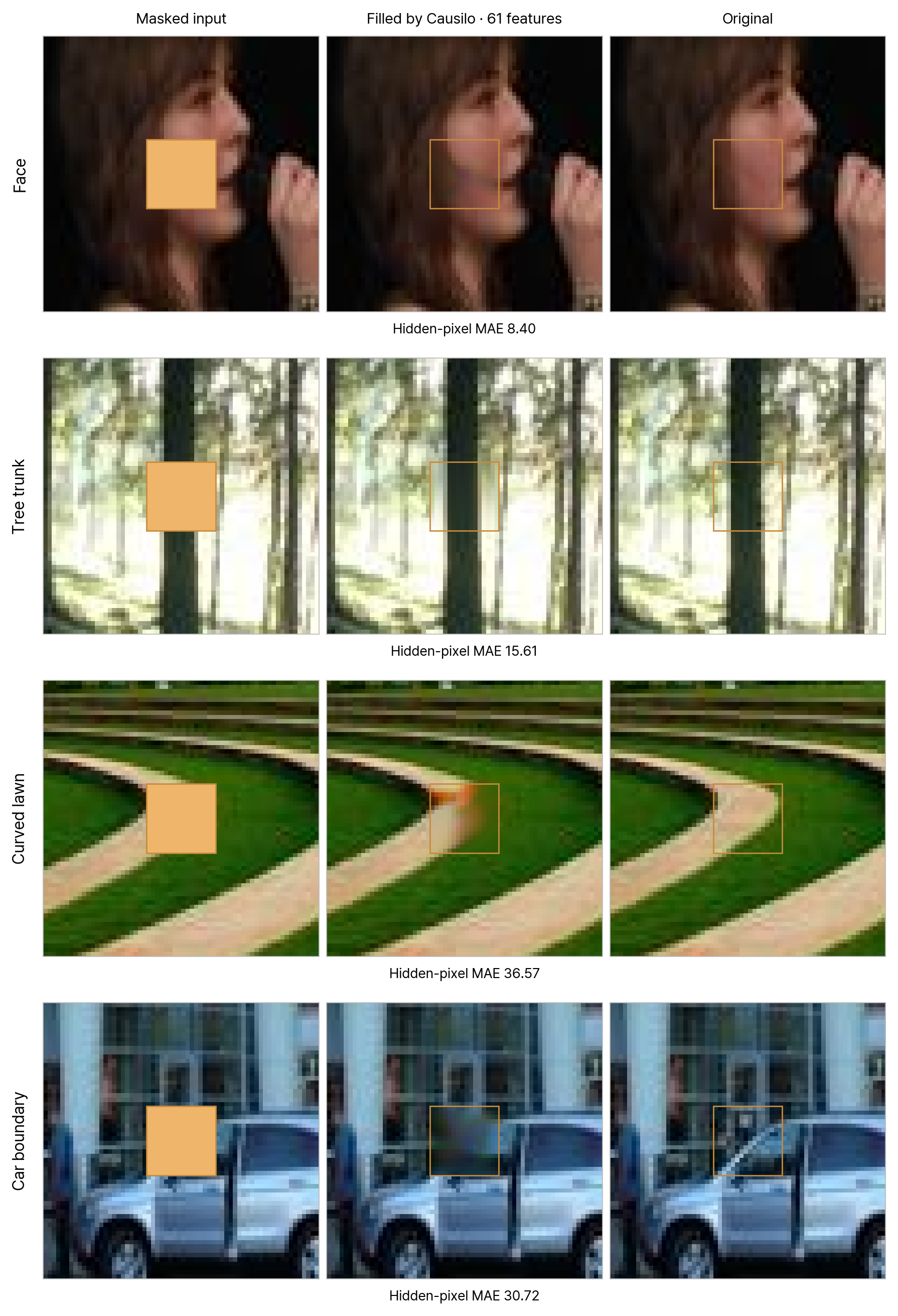 Face, tree, curved lawn, and car close-ups: masked inputs, Causilo's reconstructions using the same 61 features, and the originals.
